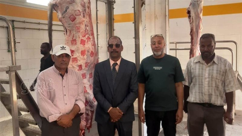 التفتيش على مجازر