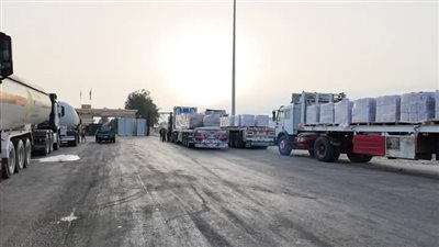 قافلة زاد العزة 199، مصر تواصل دعم غزة بـ 3.6 ألف طن مساعدات إنسانية