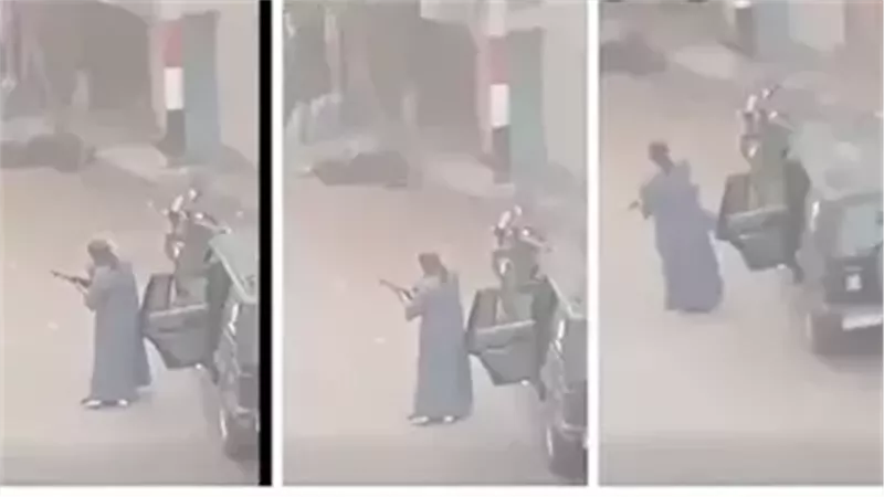  مجزرة أبنوب، فيتو
