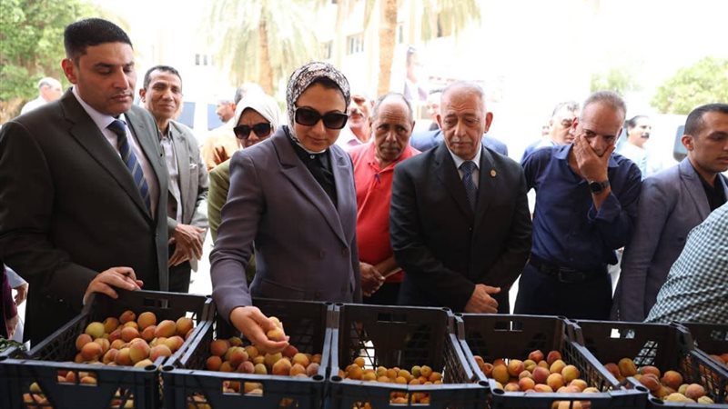 محافظ الوادى الجديد،