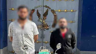 الأمن يكشف ملابسات فيديو سرقة هاتف من داخل محل بالإسكندرية