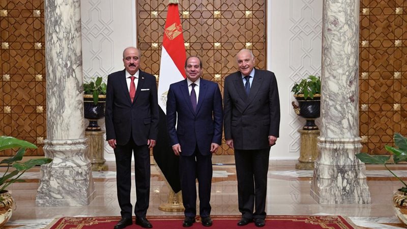 الرئيس السيسي، فيتو