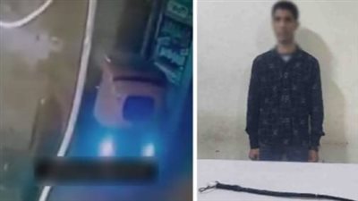 بعد تداول فيديو، ضبط المتهم بالاعتداء على مسن في البحيرة