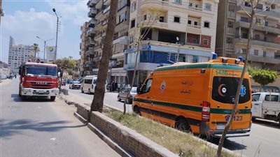 إصابة عاملة نظافة في حادث اصطدام سيارة بمنظم غاز بالدقهلية 