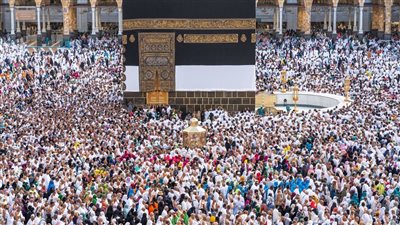 السياحة والآثار: وصول الحقائب وتسليم بطاقات نسك لحجاج السياحة 