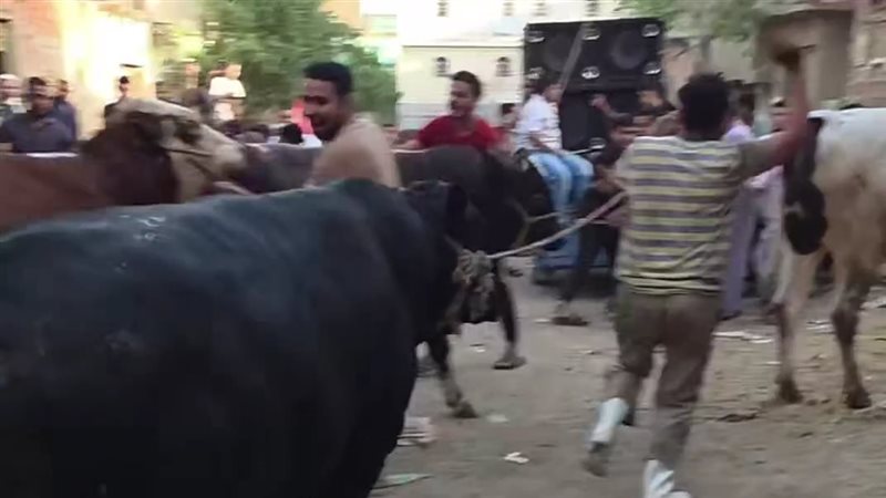  اللحوم بالفيوم،