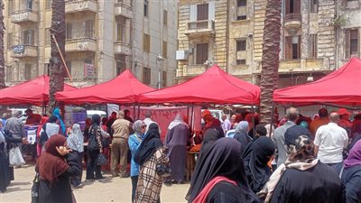  محافظة الإسكندرية تكثف من إقامة أسواق اليوم الواحد 