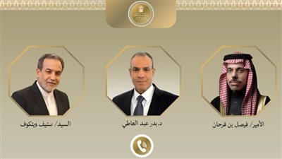 وزير الخارجية يبحث مع نظيريه السعودي والإيراني مسار المفاوضات 