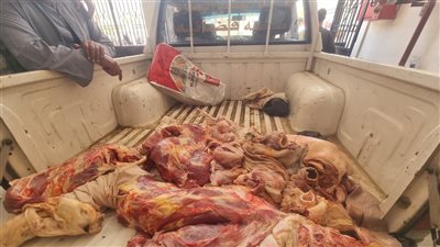 ضبط 594 كيلو لحوم بأختام مزورة وتحرير 60 محضرًا للمخابز بسوهاج 