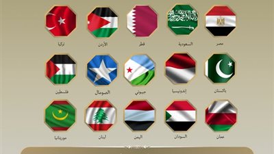 بينهم مصر، 15 دولة عربية وإسلامية تصدر بيانا عاجلا بشأن القدس والصومال
