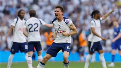 الدوري الإنجليزي، توتنهام يفوز على إيفرتون وينجو من الهبوط إلى التشامبيونشيب