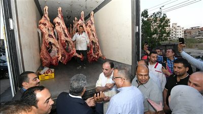 محافظ الدقهلية يدشن 