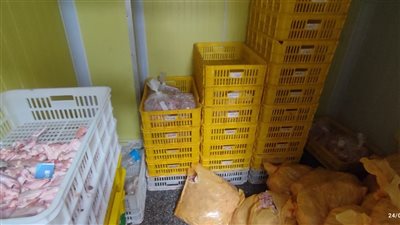 إعدام ١١ طنا من المواد الغذائية الفاسدة وغلق منشآت مخالفة بالإسكندرية 