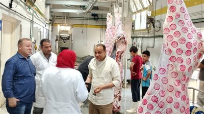 رئيس مركز دكرنس بالدقهلية يتفقد سير العمل بالمجزر الآلي