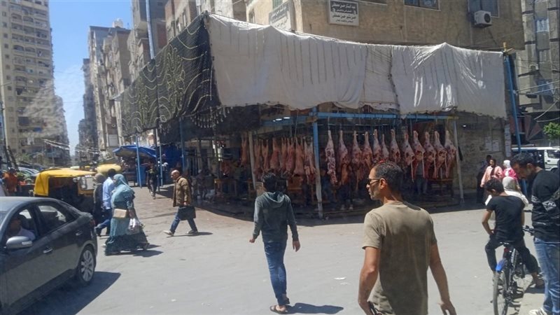 الاسكندريه 