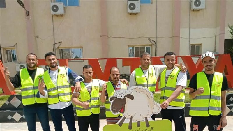 صندوق مكافحة وعلاج