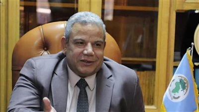 عميد دراسات أفريقية القاهرة: نوظف إمكاناتنا البحثية والأكاديمية لخدمة قضايا القارة