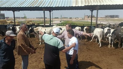 جامعة مدينة السادات تُطلق حملة توعوية حول أحكام الأضحية وطرق الذبح الآمن