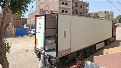 خلال عيد الأضحى، ذبح 125 عجلا وتوزيع 5 أطنان لحوم للأسر الأولى بالرعاية بأسيوط 