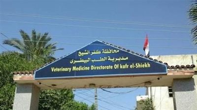 حصاد مايو، تحصين 155710 طائر ضد الأمراض الوبائية بكفر الشيخ 