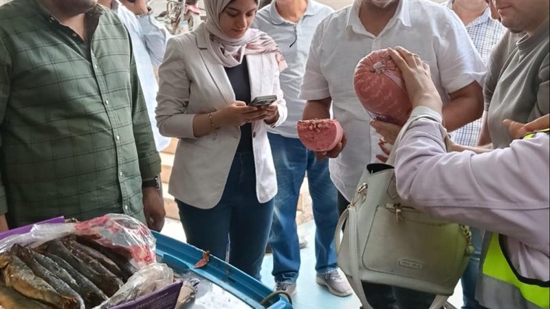 حملة مكبرة بالقليوبية،