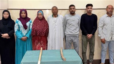 مشاجرة بسبب أرض زراعية بالبحيرة وسقوط لصي “المغافلة” بالقاهرة، الداخلية تكشف الملابسات