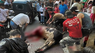 رغم فتح 29 مجزرا حكوميا مجانًا، جزارون بأسيوط يذبحون الأضاحي بالشوارع ومداخل المنازل (صور)