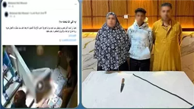 ضبط 3 أشخاص بتهمة التعدي على ربة منزل بسبب خلافات أسرية بالشرقية