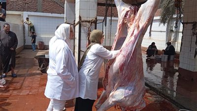 محافظ الغربية يتابع ذبح الأضاحي مجانا بالمجازر الحكومية في أول أيام عيد الأضحى