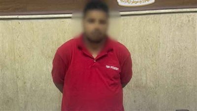ضبط قائد سيارة نقل سرق حقيبة يد من طفل بعين شمس