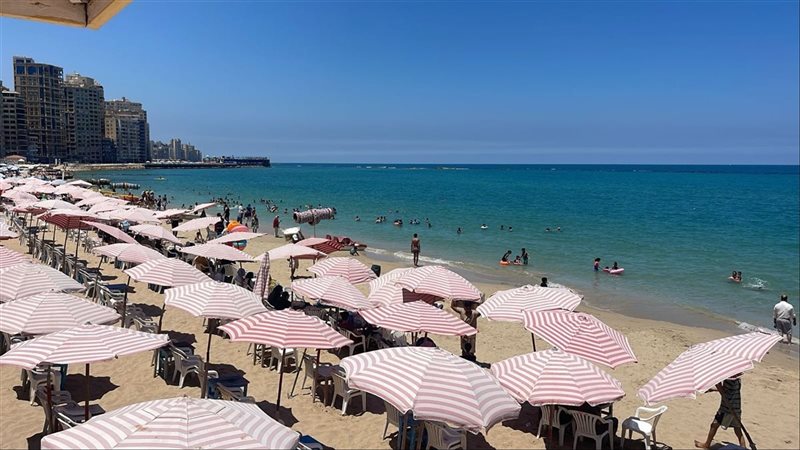 الإسكندرية، فيتو