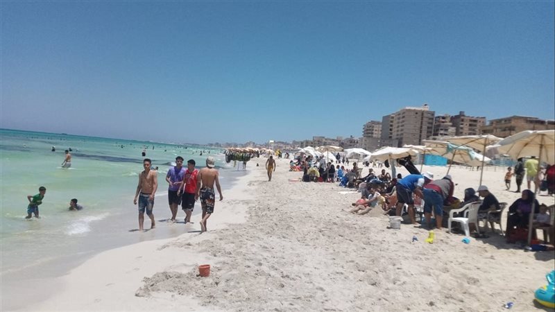 الإسكندرية، فيتو