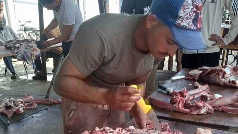 الإسكندرية، فيتو