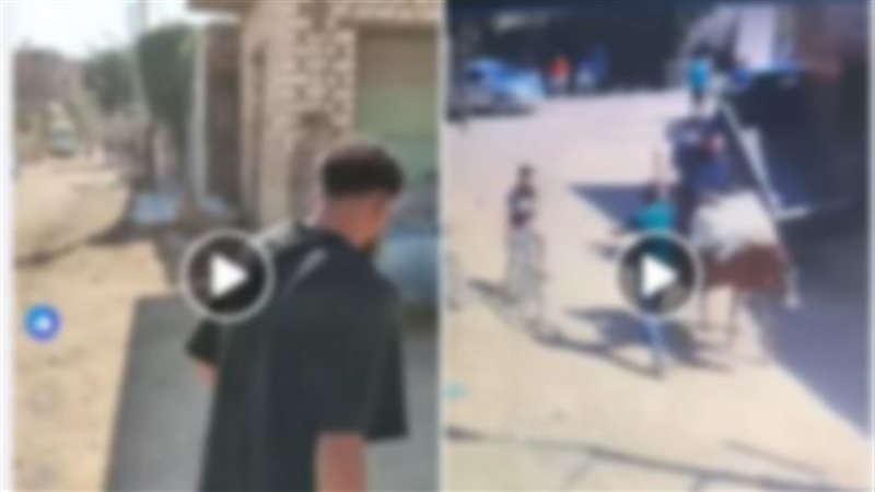 مشاجرة المنيا، فيتو