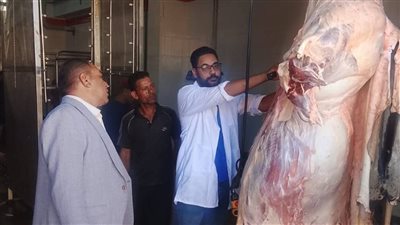 وسط أجواء الفرحة، مجازر الوادي الجديد تستقبل 125 أضحية في ثالث أيام الأضحى