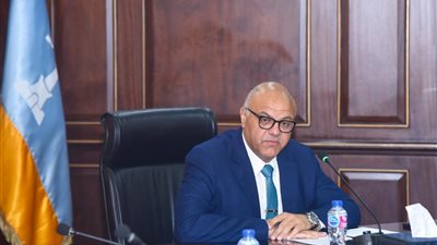 تضامن الإسكندرية توضح حقيقة فيديو اتهام مشرفة دار بالبيطاش بضرب فتاة من ذوي الهمم