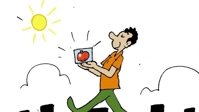 لما تشتري طماطماية