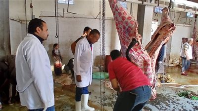 ذبح 655 أضحية بالمجازر الحكومية في أسيوط خلال عيد الأضحى 