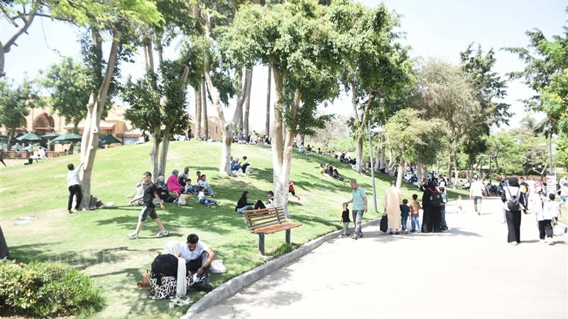 حديقة الأزهر، فيتو