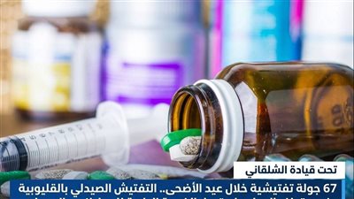 67 جولة تفتيشية خلال العيد، صحة القليوبية تتابع توافر الأدوية وانتظام العمل بالمستشفيات