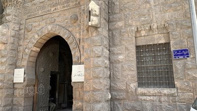  متحف الصيد بالمنيل.. كنز يضم أندر الفراشات والحيوانات المحنطة (صور) 