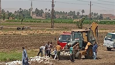 إحباط بناء مخالف على نصف فدان بالصلعا، ومحافظ سوهاج يوجه بإحالة المتعدي للنيابة