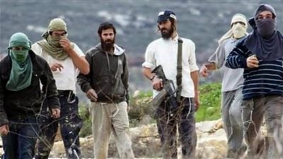 الأمم المتحدة: عنف المستوطنين في فلسطين بلغ مستويات غير مسبوقة
