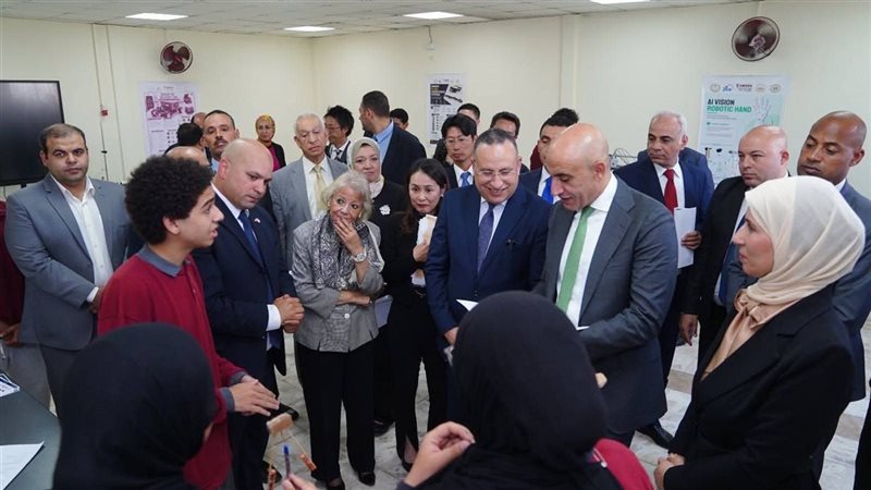 التعاون بين مصر واليابان
