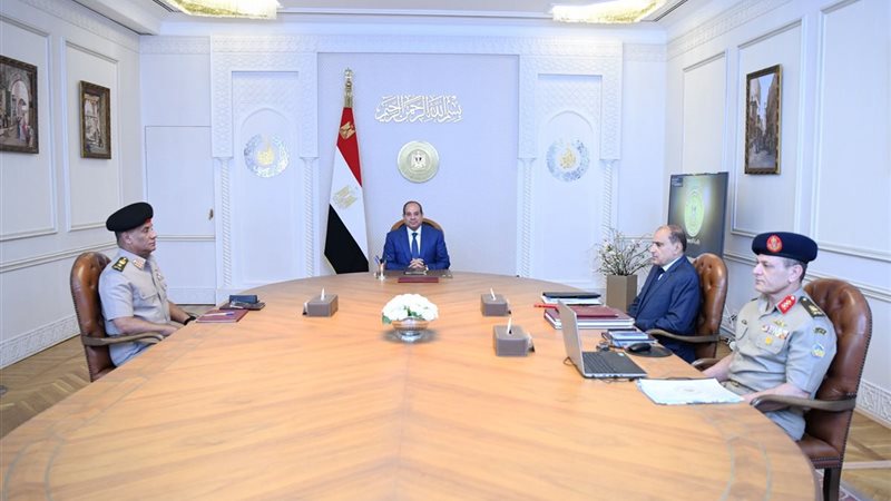 الرئيس السيسي، فيتو