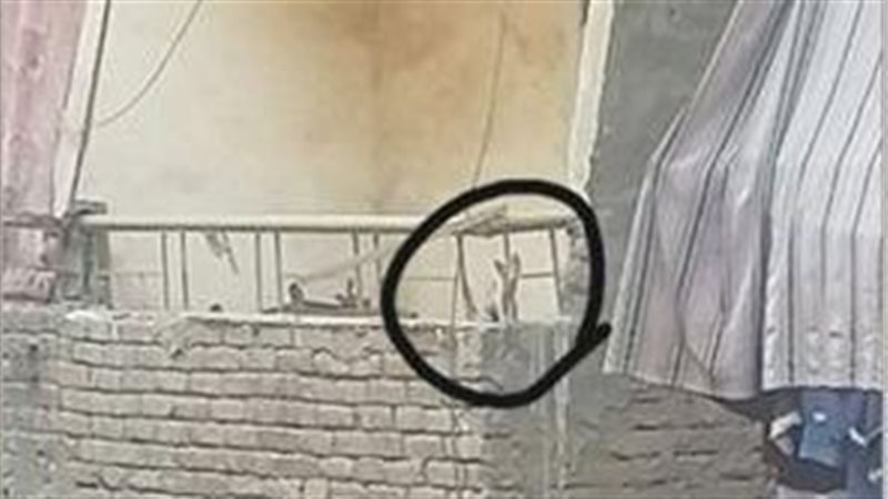 إنقاذ قطة محتجزة