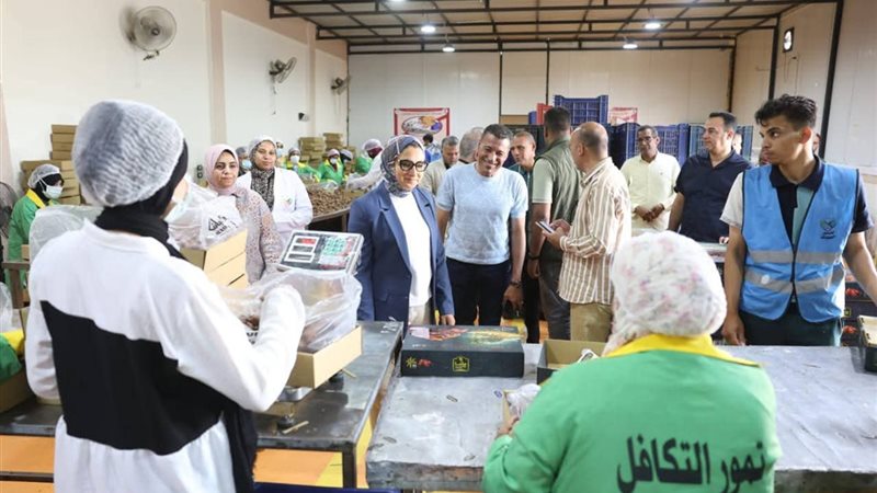 محافظ الوادى الجديد