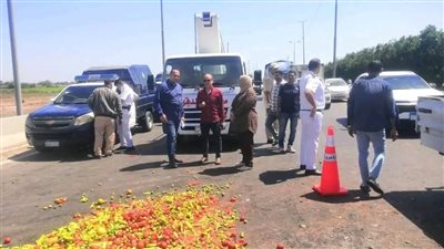 إصابة شخصين في انقلاب سيارة محملة بالخضراوات في الدقهلية 