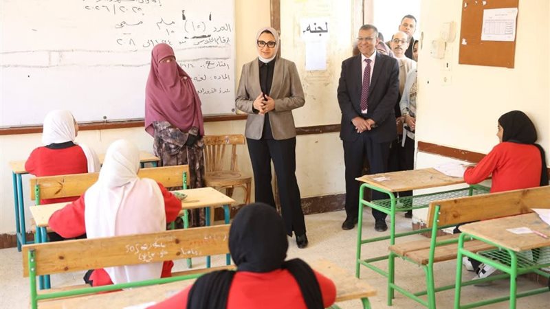 محافظ الوادى الجديد
