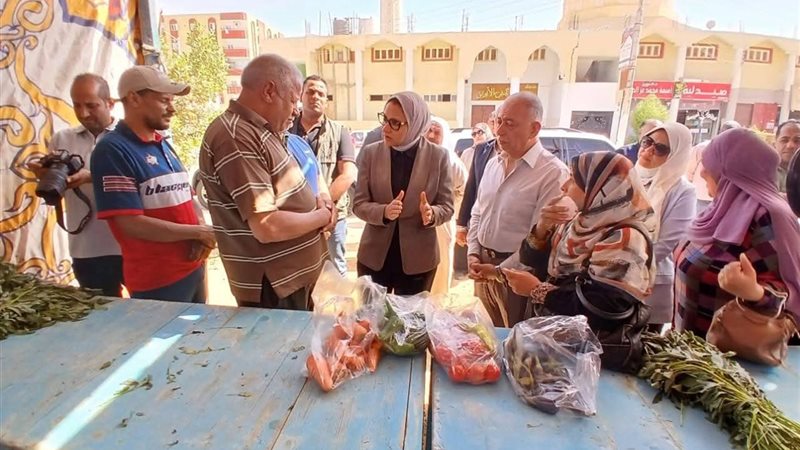محافظ الوادي الجديد،